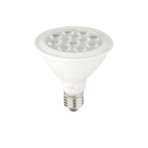 Lampada a LED E27 -PAR30